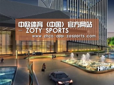 案例展示二