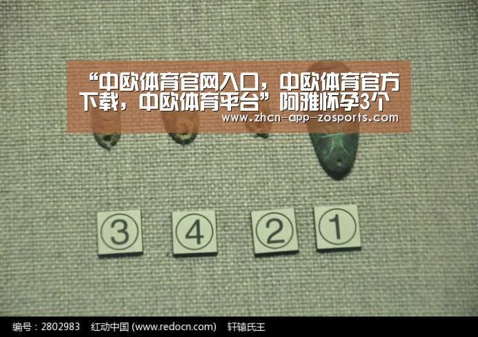 中欧体育官网入口，中欧体育官方下载，中欧体育平台