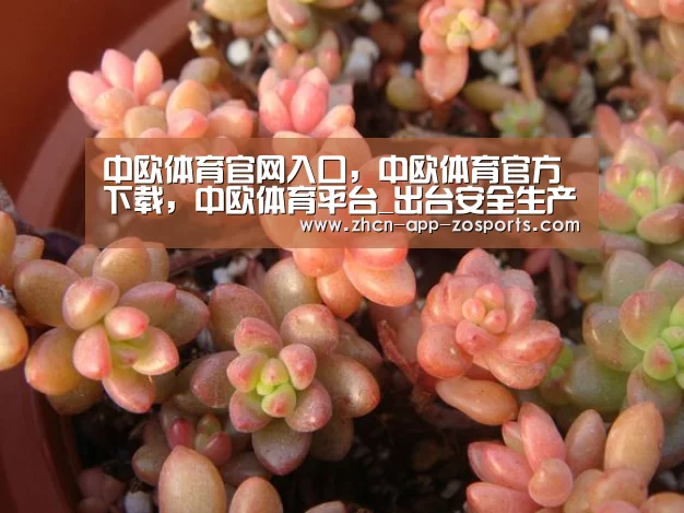 中欧体育官网入口，中欧体育官方下载，中欧体育平台