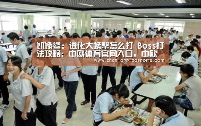 中欧体育官网入口，中欧体育官方下载，中欧体育平台