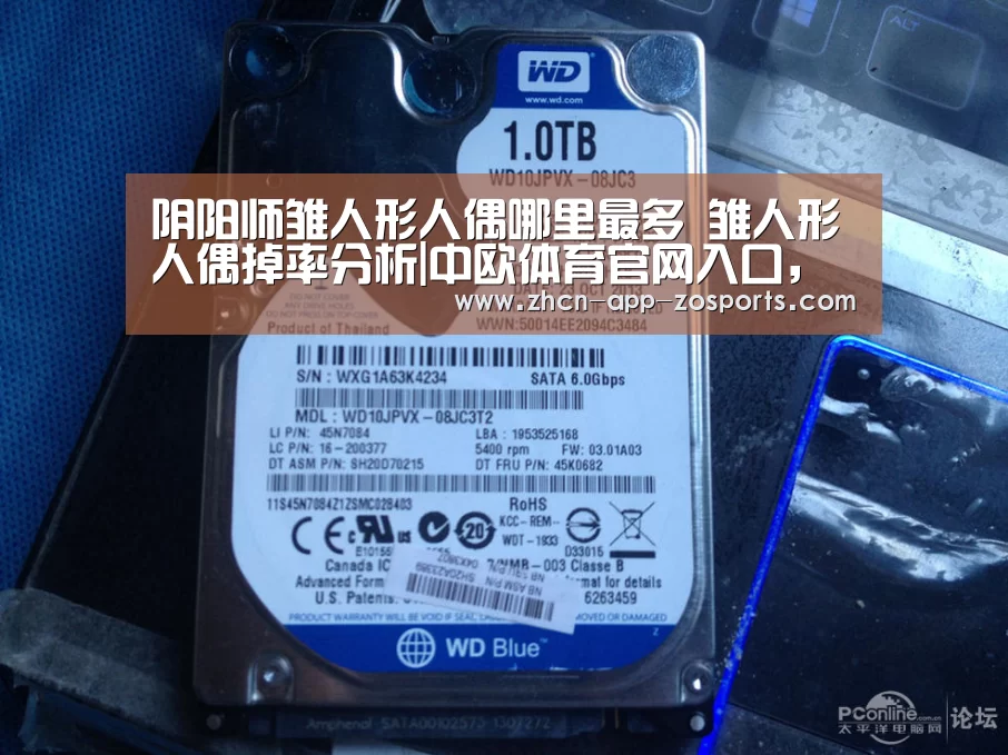 阴阳师雏人形人偶哪里最多 雏人形人偶掉率分析|中欧体育官网入口,中欧体育官方下载,中欧体育平台(图2) 中欧体育官网入口,中欧体育官方下载,中欧体育平台