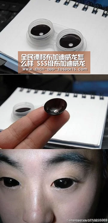 中欧体育官网入口，中欧体育官方下载，中欧体育平台