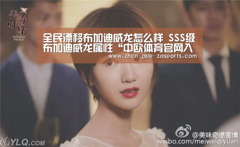 中欧体育官网入口，中欧体育官方下载，中欧体育平台