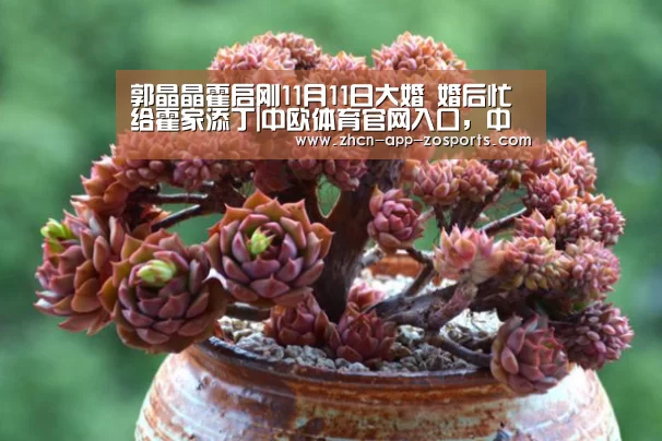 郭晶晶霍启刚11月11日大婚 婚后忙给霍家添丁|中欧体育官网入口,中欧体育官方下载,中欧体育平台(图1) 中欧体育官网入口,中欧体育官方下载,中欧体育平台