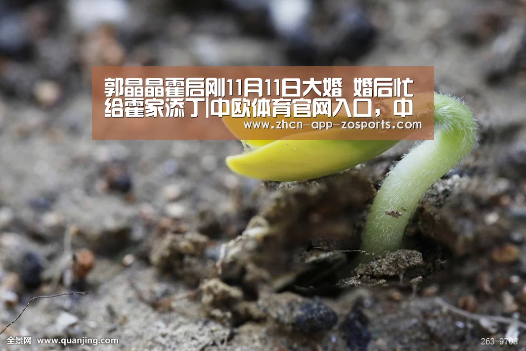 郭晶晶霍启刚11月11日大婚 婚后忙给霍家添丁|中欧体育官网入口,中欧体育官方下载,中欧体育平台(图3) 中欧体育官网入口,中欧体育官方下载,中欧体育平台